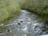 thumb-CarefreeAcres02.jpg