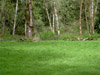 thumb-CarefreeAcres07.jpg