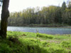 thumb-CarefreeAcres18.jpg