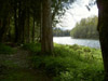 thumb-CarefreeAcres19.jpg